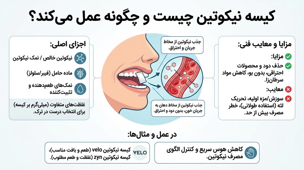 کیسه نیکوتین چیست